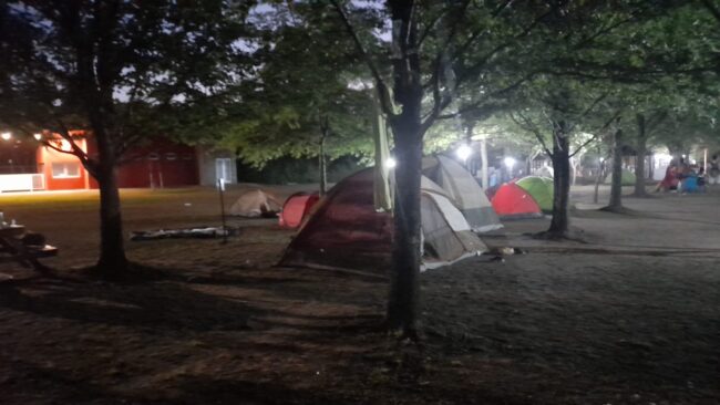 WhatsApp Image 2023-01-12 at 07.39.25 (2) – copia